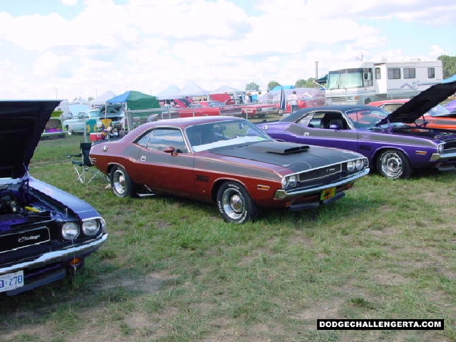 Dodge Challenger TA, photo from 2000 Mopar Nats.